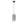 
                    Подвесной светильник Vele Luce City VL6342P01        
    