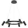 
                    Подвесной светильник Vele Luce Neo VL10012P06        
    