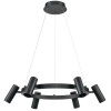 
                    Подвесной светильник Vele Luce Neo VL10012P06        
    