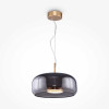 
                    Подвесной светодиодный светильник Maytoni Madmen MOD127PL-L6SG        
    