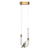 
                    Подвесной светодиодный светильник Odeon Light L-Vision Lark 5431/2L        
    