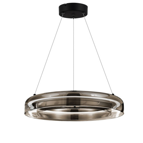 
                    Подвесной светодиодный светильник ST Luce Foray SL6019.333.01        
    