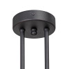 
                    Потолочная люстра Vitaluce V4944-1/2PL        
    