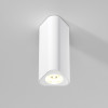 
                    Потолочный светильник Elektrostandard 25110/LED a067063        
    