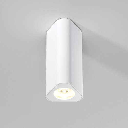 
                    Потолочный светильник Elektrostandard 25110/LED a067063        
    