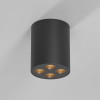 
                    Потолочный светильник Elektrostandard 25111/LED a067484        
    