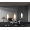
                    Потолочный светильник Maytoni Technical C055CL-L12W2.7K-SS-B        
    