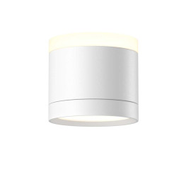 Потолочный светильник Maytoni Technical C120CL-GX53-W