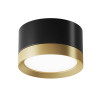 
                    Потолочный светильник Maytoni Technical Hoop C086CL-GX53-SRD-BG        
    