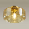 
                    Потолочный светильник Odeon Light Pendant Binga 4747/1C        
    