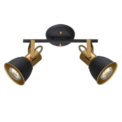 
                    Спот Arte Lamp Jovi A1677PL-2GO        
    