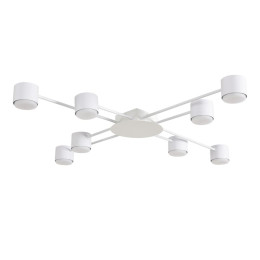Светильник потолочный Lumion BENUA 8305/8C