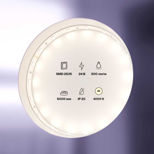 
                    Светодиодная лента Maytoni Technical 4,8W/m 60LED/m 2835SMD дневной белый 5M 10137        
    