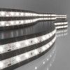 
                    Светодиодная влагозащищенная лента Elektrostandard 4,8W/m 60LED/m 2835SMD дневной белый 5M a050577        
    