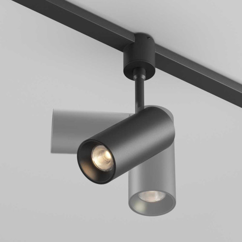 
                    Трековый светильник Maytoni Technical TR163-1-10W3K-M-B        
    