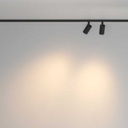 Трековый светильник Maytoni Technical TR176-1-2X5WTW-M-B