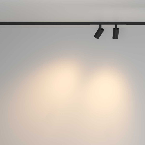 
                    Трековый светильник Maytoni Technical TR176-1-2X5WTW-M-B        
    