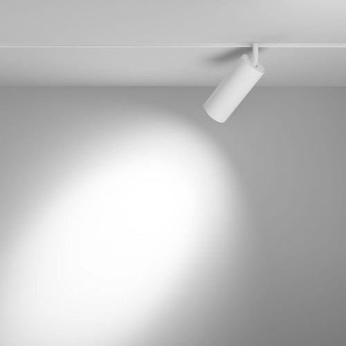 
                    Трековый светодиодный светильник Maytoni Technical Exility Focus Led TR032-4-20WTW-S-DD-W        
    