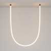 
                    Крепление потолочное Maytoni (2 шт) LNM-D25-2CS-B 20320        
    