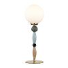 
                    Настольная лампа Odeon Light Modern Palle 5405/1T        
    