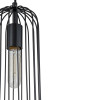 
                                            Подвесной светильник Escada Phoenix 10198/1S                    
                