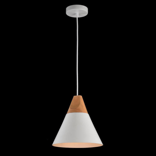 
                    Подвесной светильник Maytoni Bicones P359-PL-01-W        
    