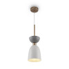 
                    Подвесной светильник Maytoni Cloches MOD113PL-01W        
    