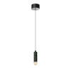 
                    Подвесной светильник Maytoni Modern Bell MOD534PL-L4B3K1        
    