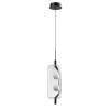 
                    Подвесной светодиодный светильник Arte Lamp Geneva A2341SP-2BK        
    