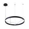 
                    Подвесной светодиодный светильник Arte Lamp Ricco A1874SP-45BK        
    