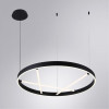 
                    Подвесной светодиодный светильник Arte Lamp Ricco A1874SP-45BK        
    