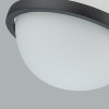 
                    Подвесной светодиодный светильник Favourite Ringar 4502-1P        
    