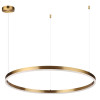 
                    Подвесной светодиодный светильник Lumion Ledio Echo 6531/67L        
    