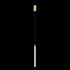 
                    Подвесной светильник Maytoni Ray P022PL-L20G3K        
    