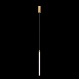 Подвесной светильник Maytoni Ray P022PL-L20G3K