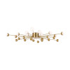 
                    Потолочная люстра Freya Celebrity FR5242CL-24BS        
    