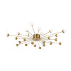 
                    Потолочная люстра Freya Celebrity FR5242CL-24BS        
    