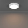 
                    Потолочный светильник Eglo Fueva 6 901332        
    