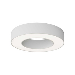 Потолочный светильник Maytoni Technical C093CL-24W4K-W