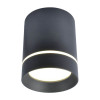 
                    Потолочный светодиодный светильник Arte Lamp A1909PL-1BK        
    