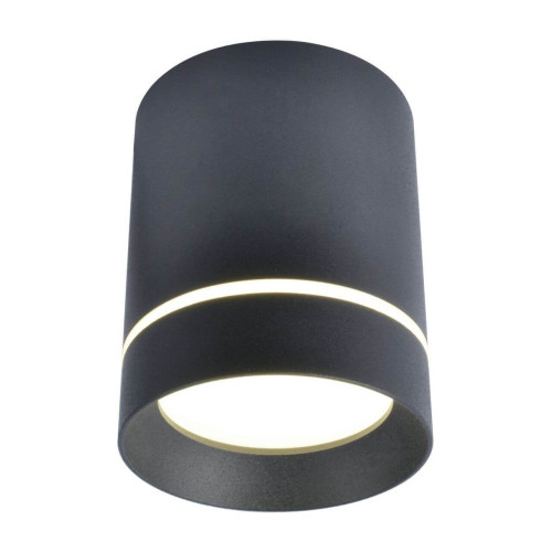 
                    Потолочный светодиодный светильник Arte Lamp A1909PL-1BK        
    
