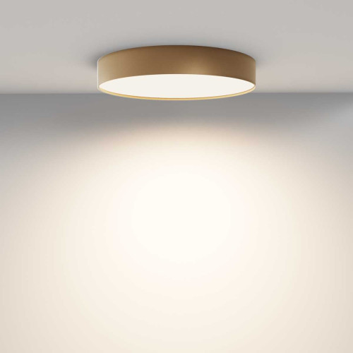 
                    Потолочный светодиодный светильник Maytoni Zon C032CL-45W3K-RD-MG        
    