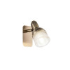 
                    Спот Freya Arlette FR7003WL-01BZ        
    