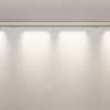 
                    Светильник Maytoni Technical C101CL-L1000-24W3-6K-BS        
    