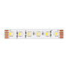 
                    Светодиодная лента ST Luce ST1005.418.20RGBW        
    