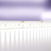 
                    Светодиодная влагозащищенная лента Maytoni Technical 20W/m 180LED/m 2835SMD холодный белый 5M 10159        
    