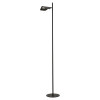 
                    Торшер Lussole Loft LSP-0595        
    