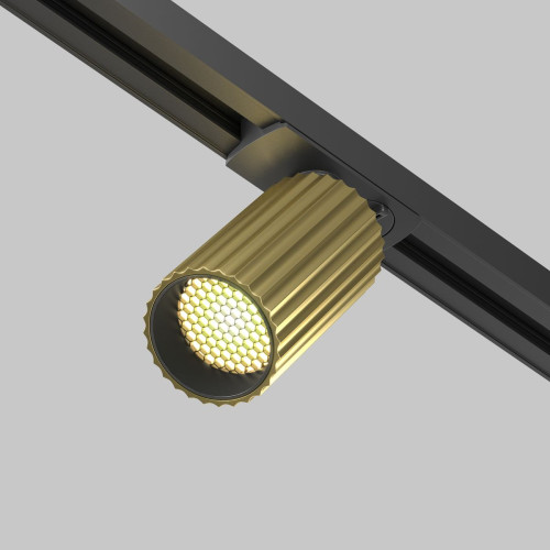 
                    Трековый светильник Maytoni Technical Calipso TR218-1-GU10-BS        
    