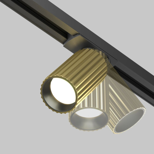 
                    Трековый светильник Maytoni Technical Calipso TR218-1-GU10-BS        
    