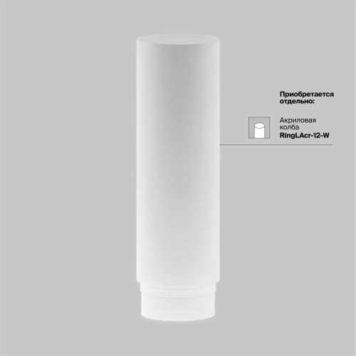 
                    Трековый светильник Maytoni Technical Focus Led TR032-2-12W4K-M-BBS        
    